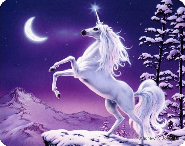 Purple Unicorn.jpg - A purple unicorn